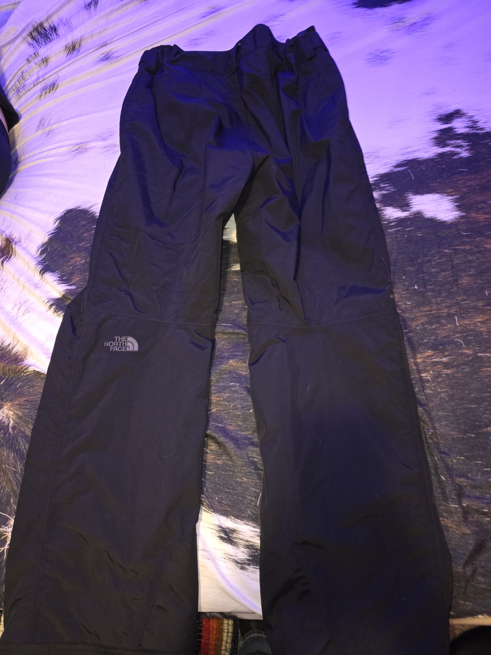 The North Face Black Insulated Snow Pants Size LG